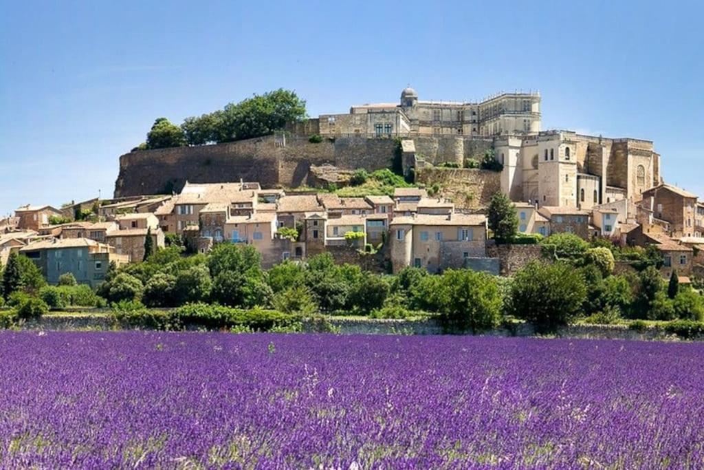 Maison De Ville Châteauneuf-du-Rhône Eksteriør billede